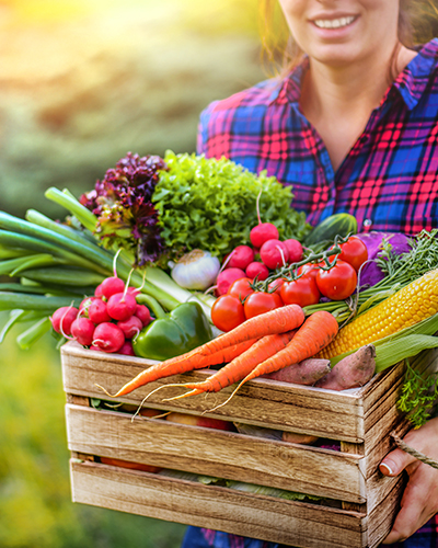 local1 person carrying a crate with farm fresh vegetables